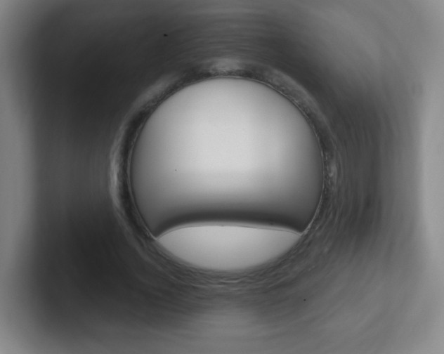 X0000102310732200807251041