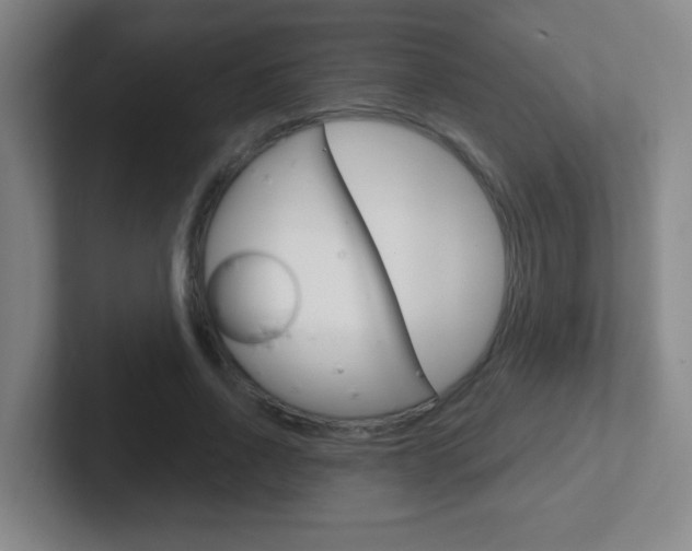 X0000102310734200807251041