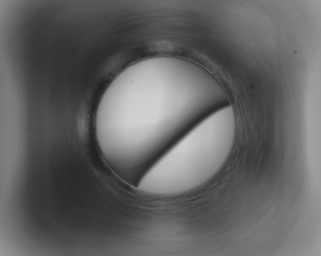 X0000102310735200807251041