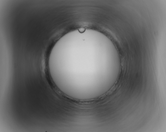 X0000102310740200807251041
