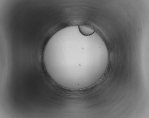 X0000102310741200807251041