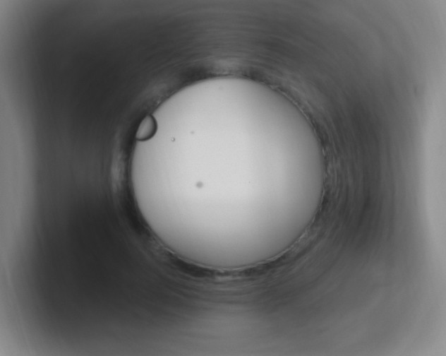 X0000102310744200807251041