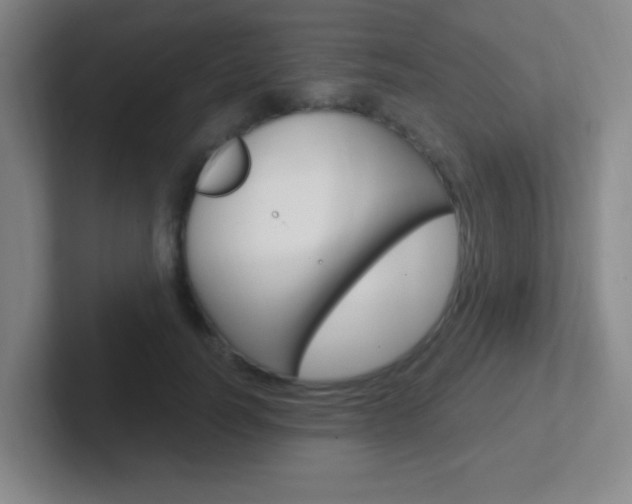 X0000102310746200807251041