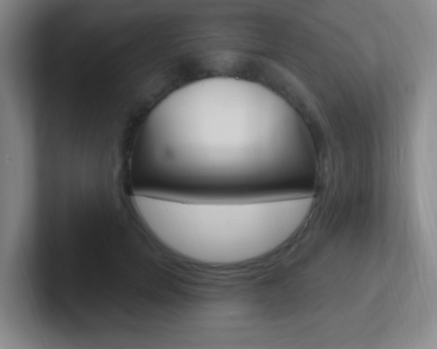 X0000102310750200807251041