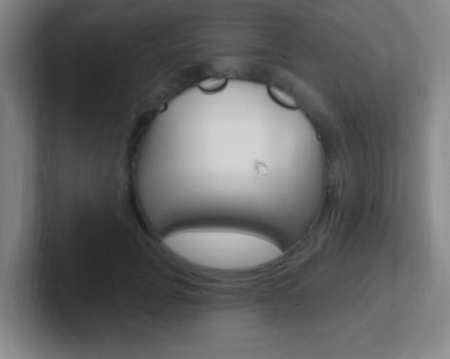 X0000102310751200807251041