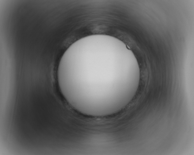 X0000102310755200807251041