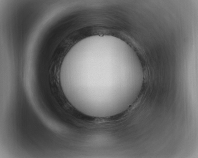 X0000102310764200807251041