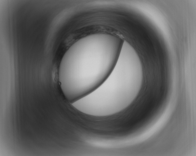 X0000102310766200807251041