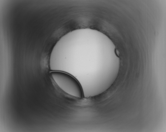 X0000102310768200807251041