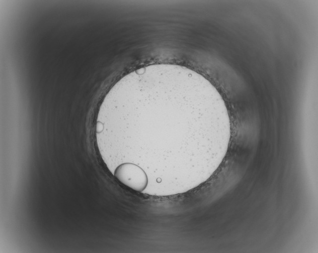X0000102310769200807251040
