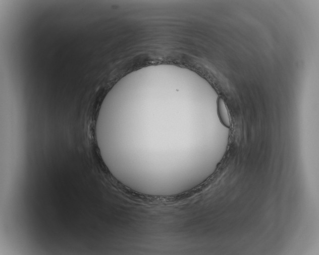 X0000102310770200807251040