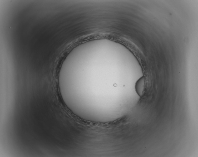 X0000102310773200807251040