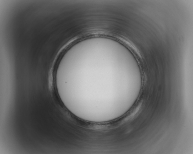 X0000102310782200807251040