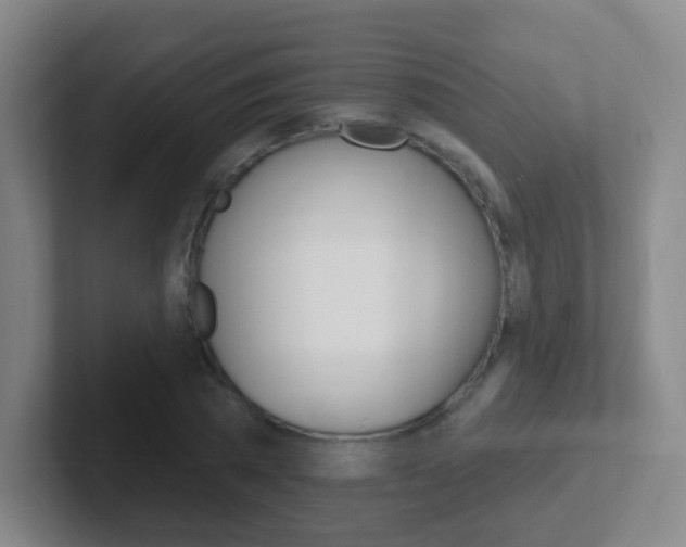 X0000102310785200807251040