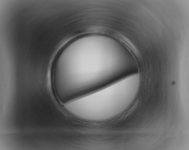 X0000102310788200807251040