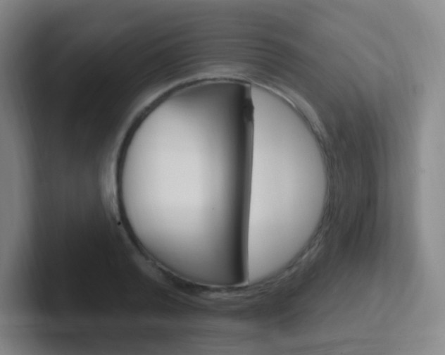 X0000102310792200807251040