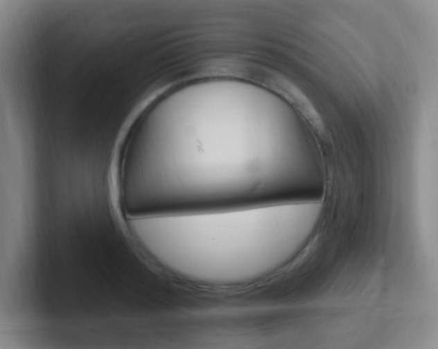 X0000102310796200807251040