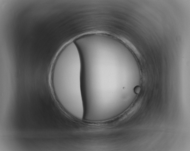 X0000102310797200807251040