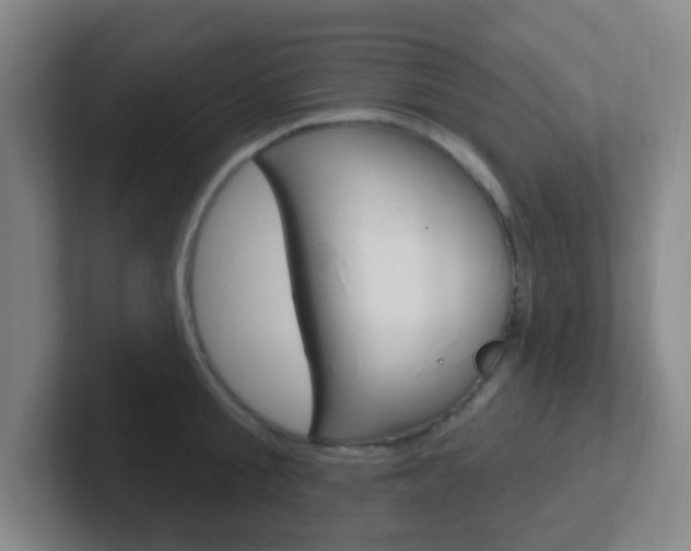 X0000102310805200807251040