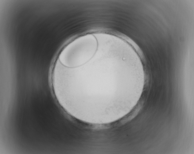 X0000102310807200807251040
