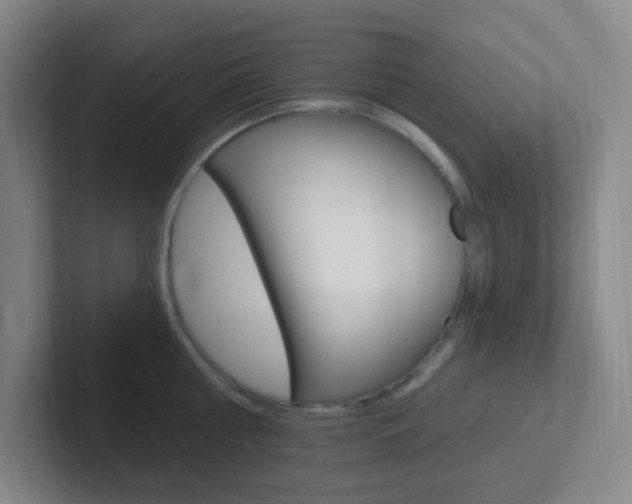 X0000102310810200807251040