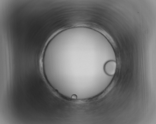 X0000102310814200807251040