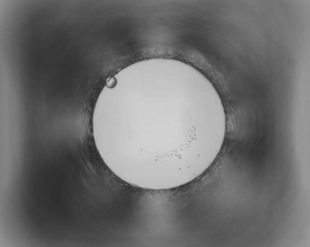X0000102310820200807251039