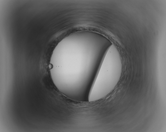 X0000102310822200807251039