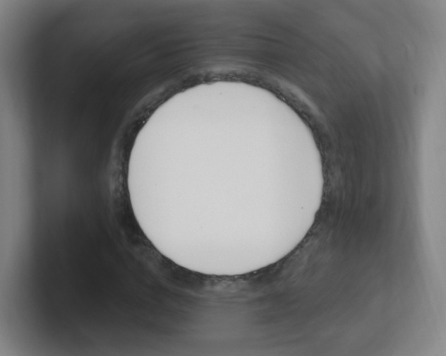 X0000102310824200807251039