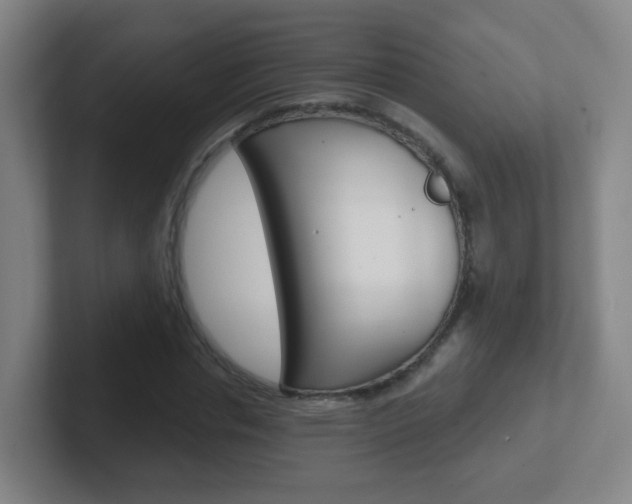 X0000102310826200807251039