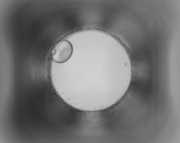 X0000102310832200807251039