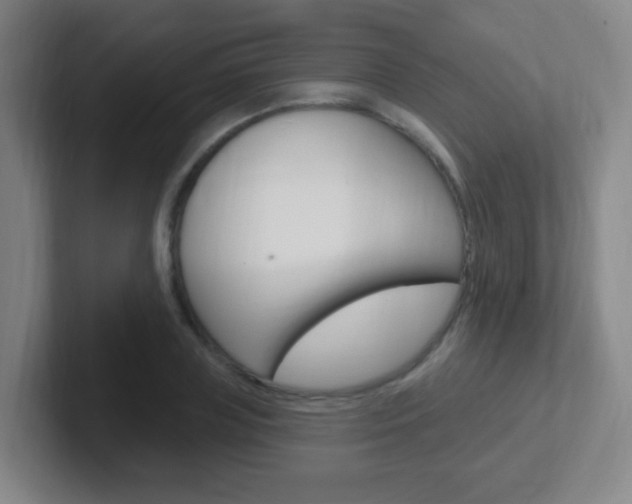 X0000102310835200807251039