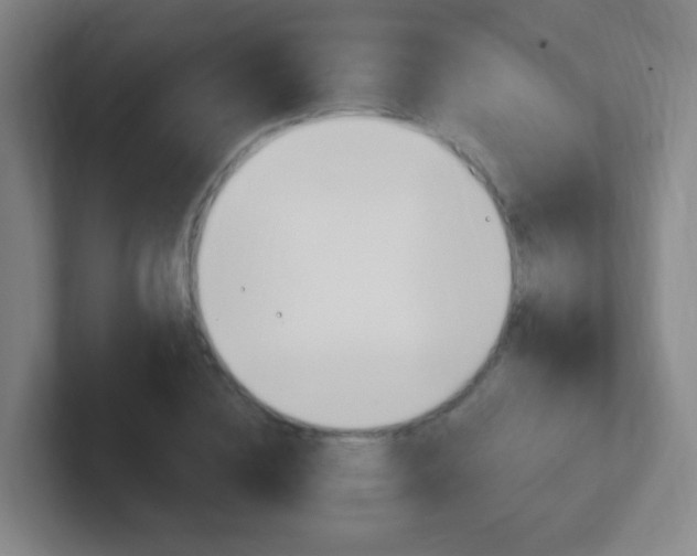 X0000102310836200807251039