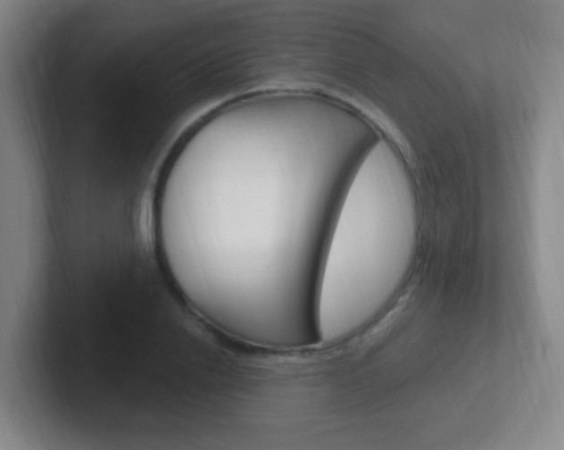 X0000102310838200807251039