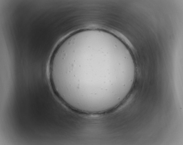 X0000102310839200807251039