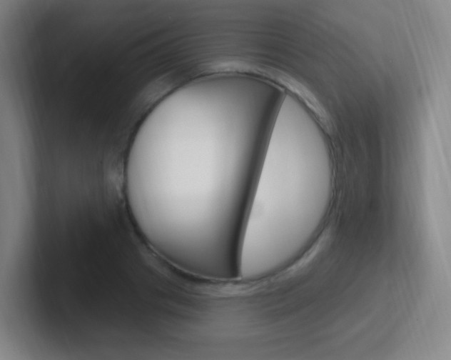 X0000102310841200807251039