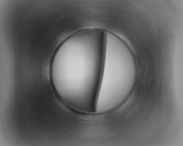 X0000102310842200807251039