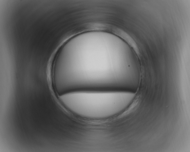 X0000102310843200807251039