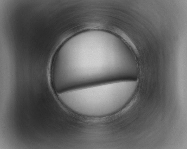 X0000102310845200807251039