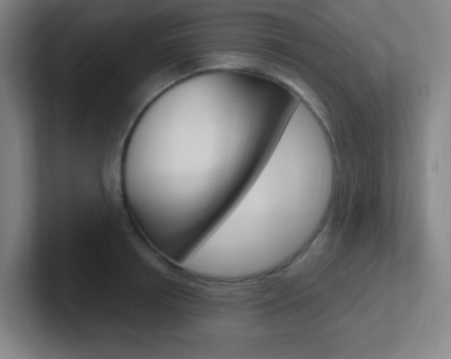 X0000102310850200807251040
