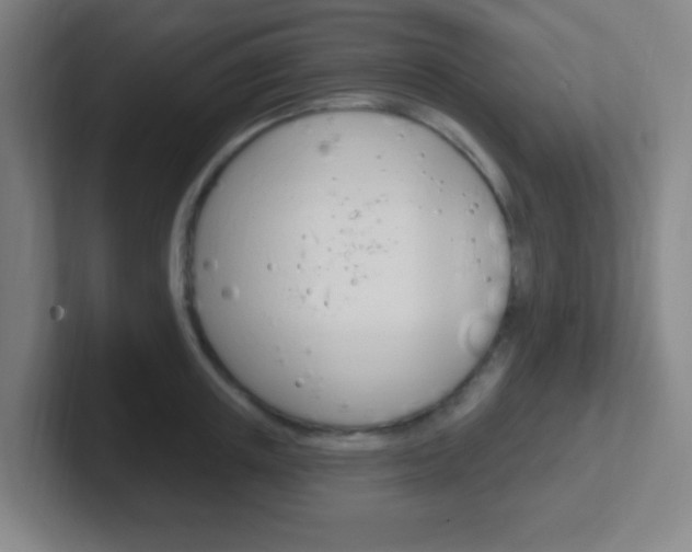 X0000102310851200807251040
