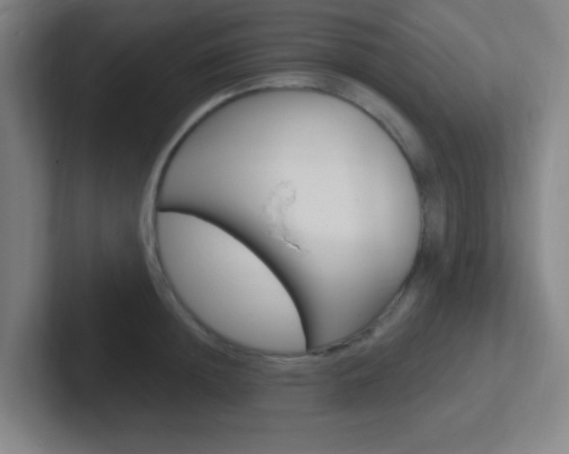 X0000102310852200807251040