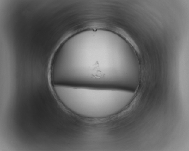 X0000102310853200807251040