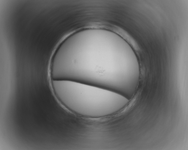 X0000102310855200807251040