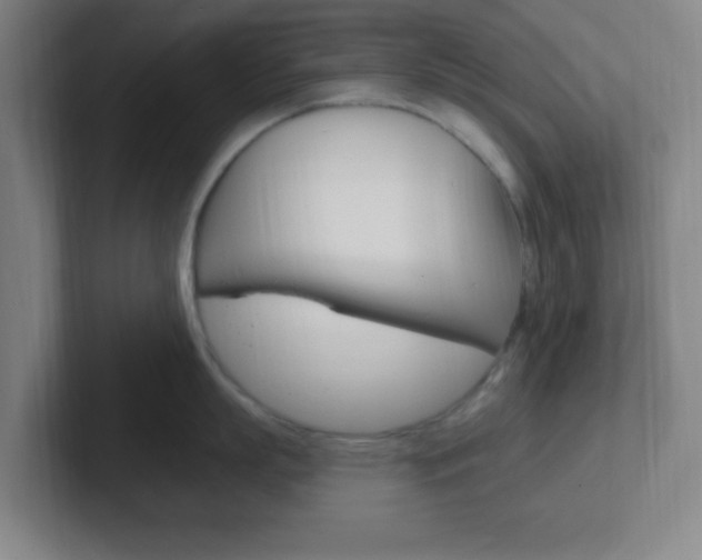 X0000102310863200807251040
