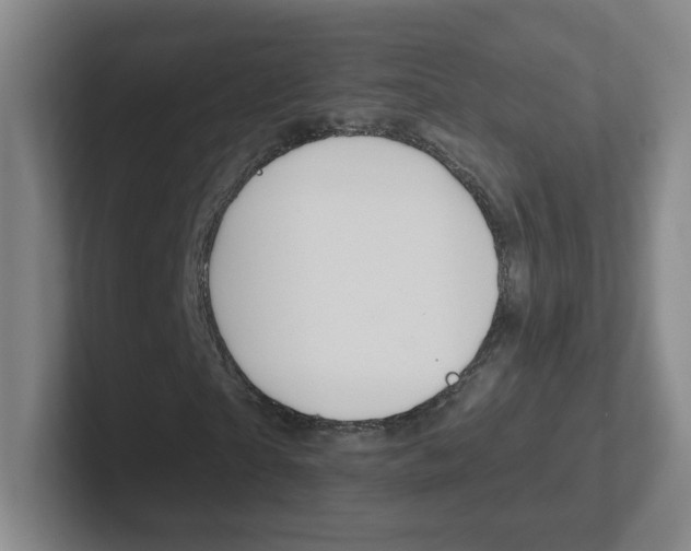 X0000102310865200807251039