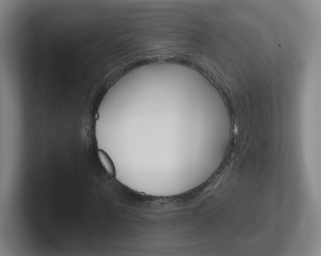 X0000102310867200807251039