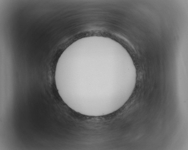 X0000102310869200807251039