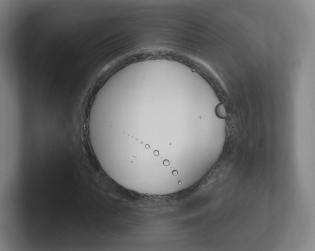 X0000102310871200807251039