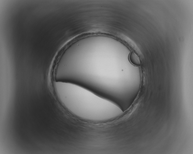 X0000102310876200807251039